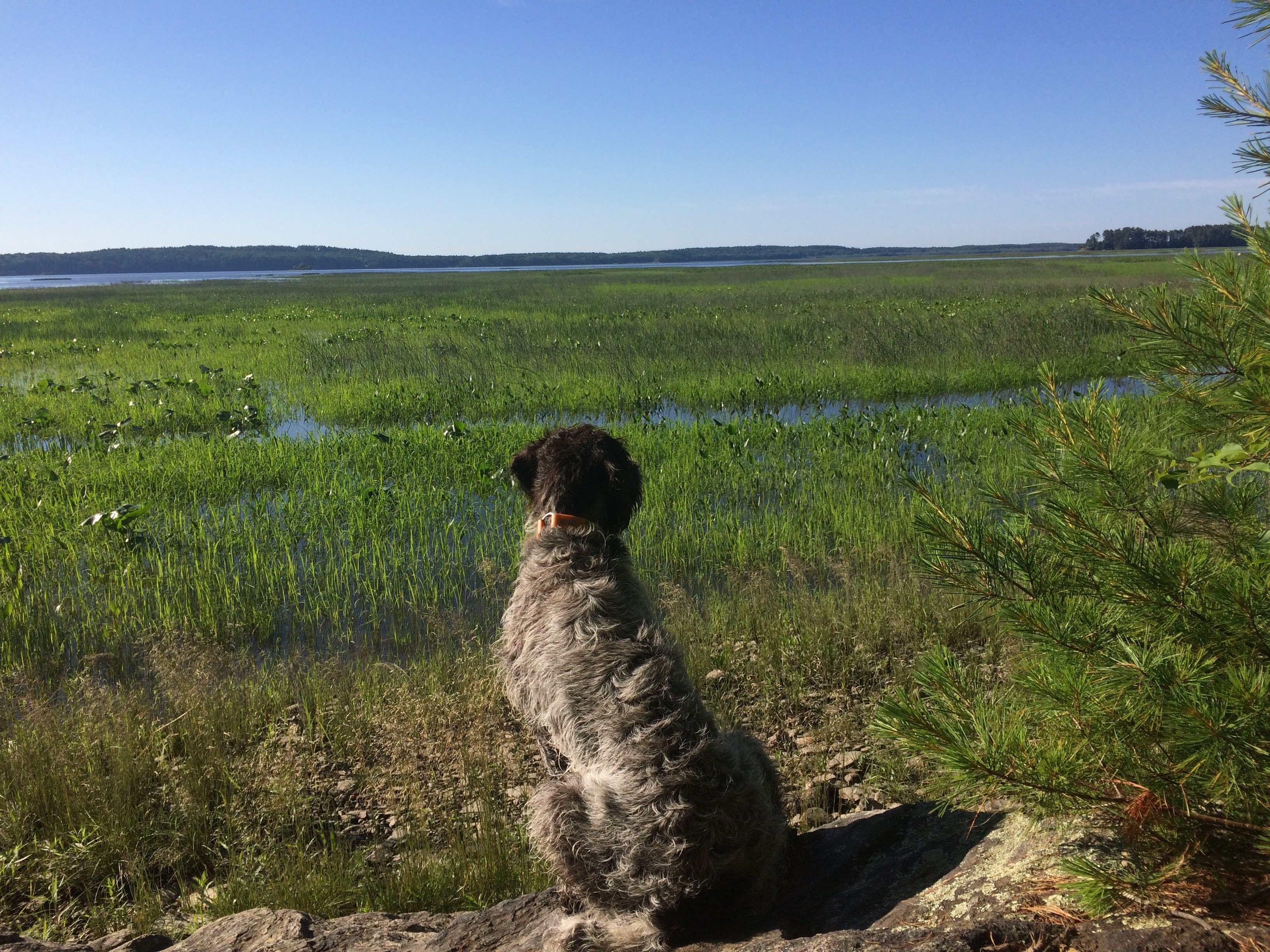 WaitingatMerryMeeting